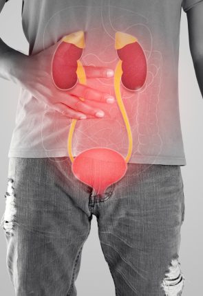 kidney-urethra-illustration